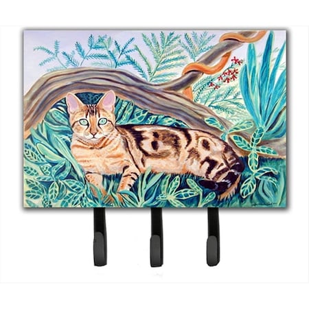 Carolines Treasures Cat Maine Coon Leash Holder or Key Hook 7139TH68